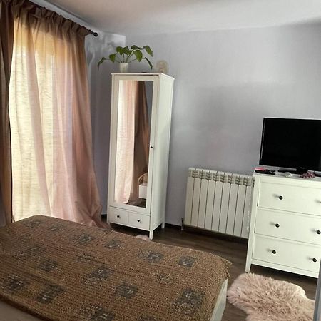 티미쇼아라 Garsoniera La Casa 아파트 외부 사진