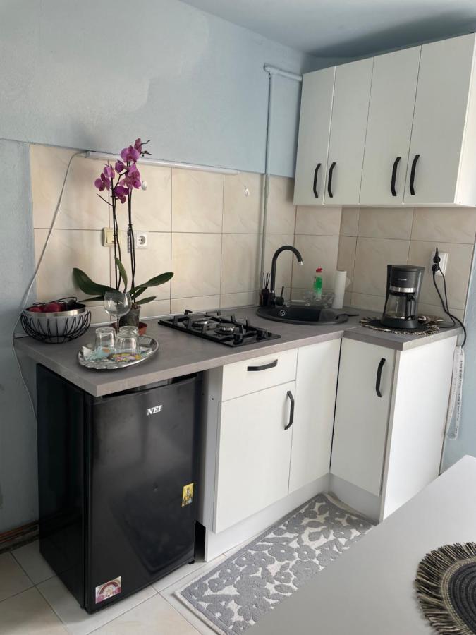 티미쇼아라 Garsoniera La Casa 아파트 외부 사진