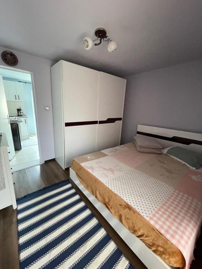 티미쇼아라 Garsoniera La Casa 아파트 외부 사진