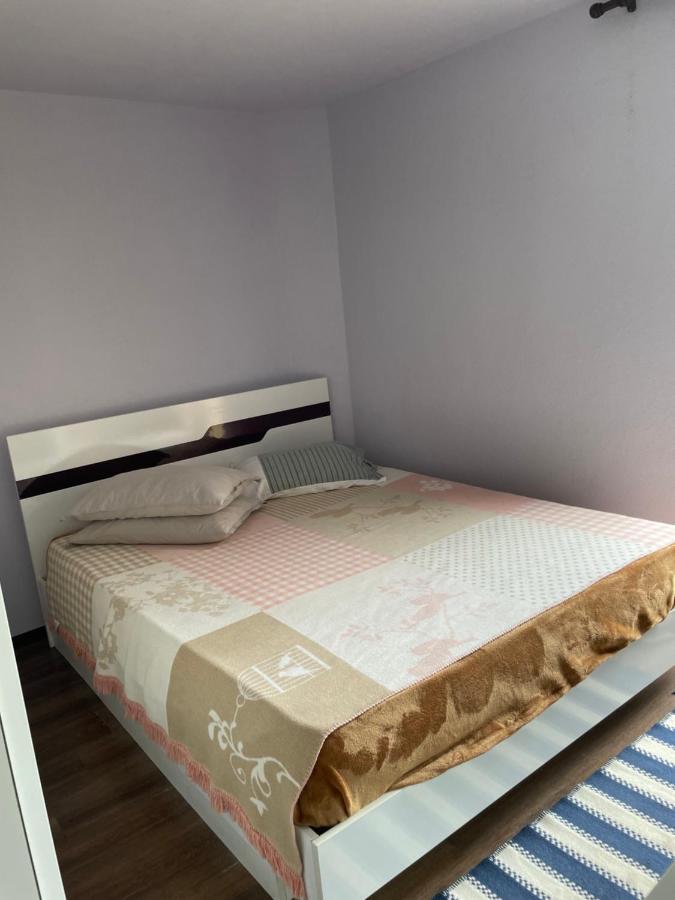티미쇼아라 Garsoniera La Casa 아파트 외부 사진