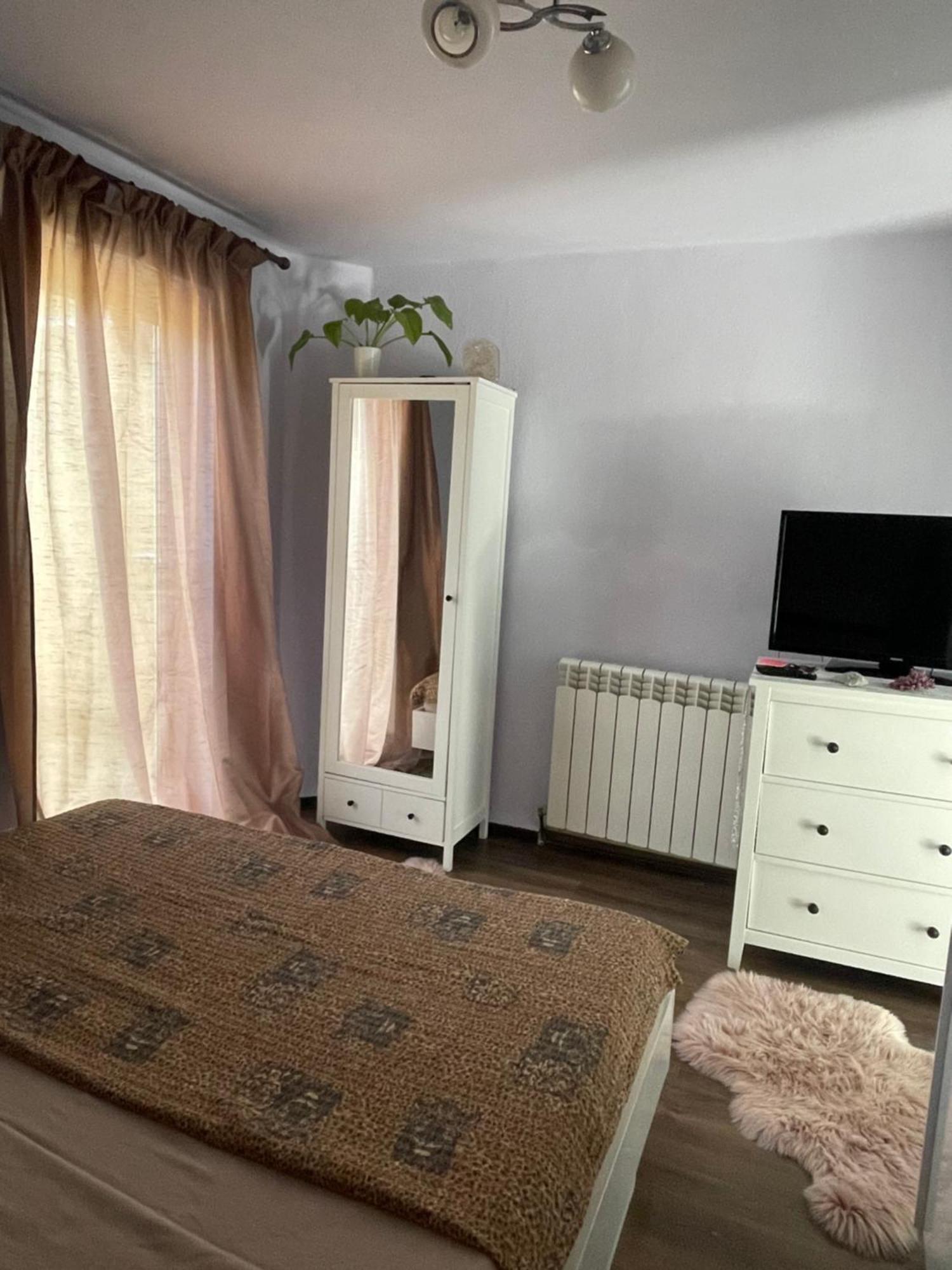 티미쇼아라 Garsoniera La Casa 아파트 외부 사진