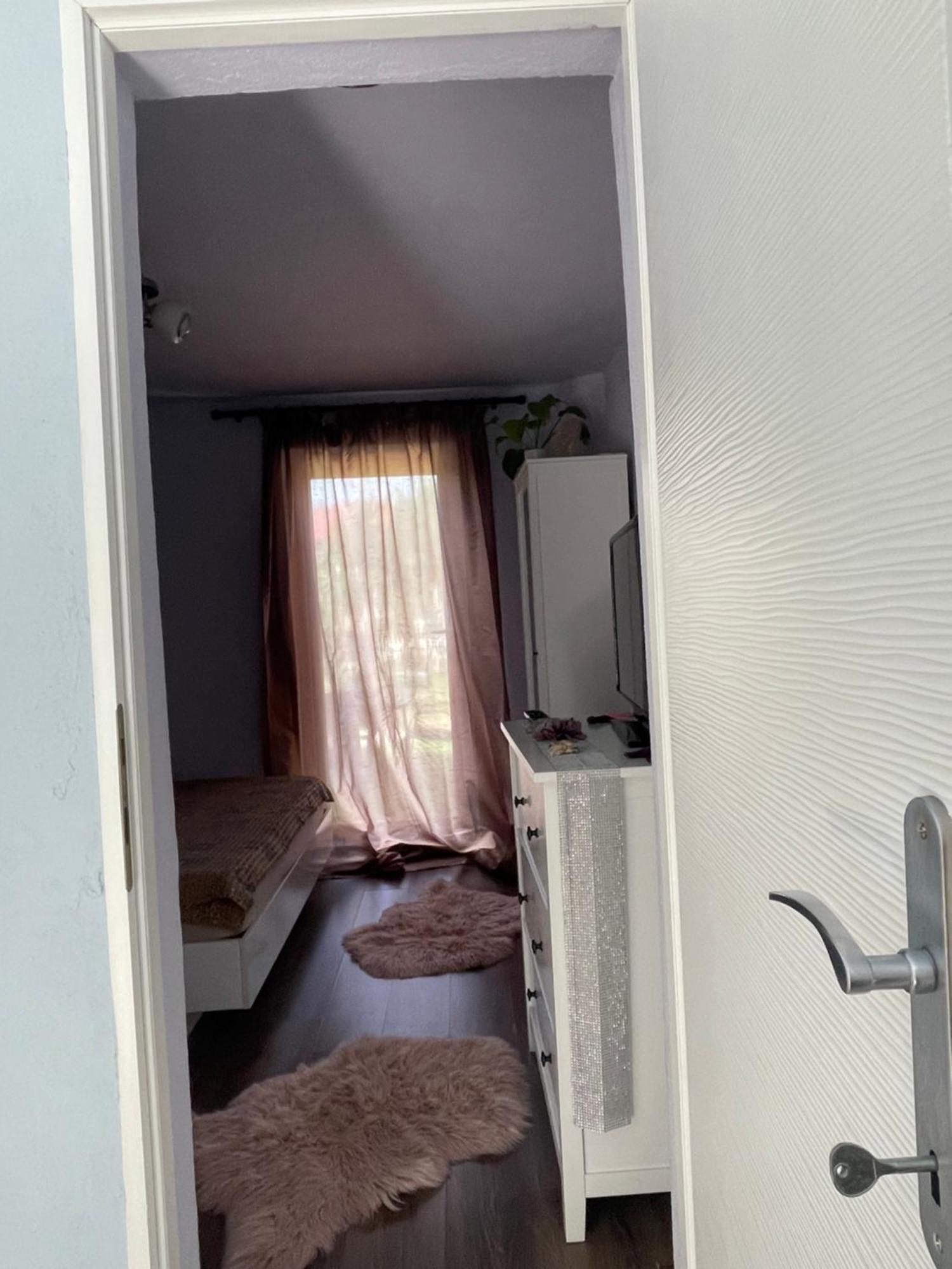 티미쇼아라 Garsoniera La Casa 아파트 외부 사진