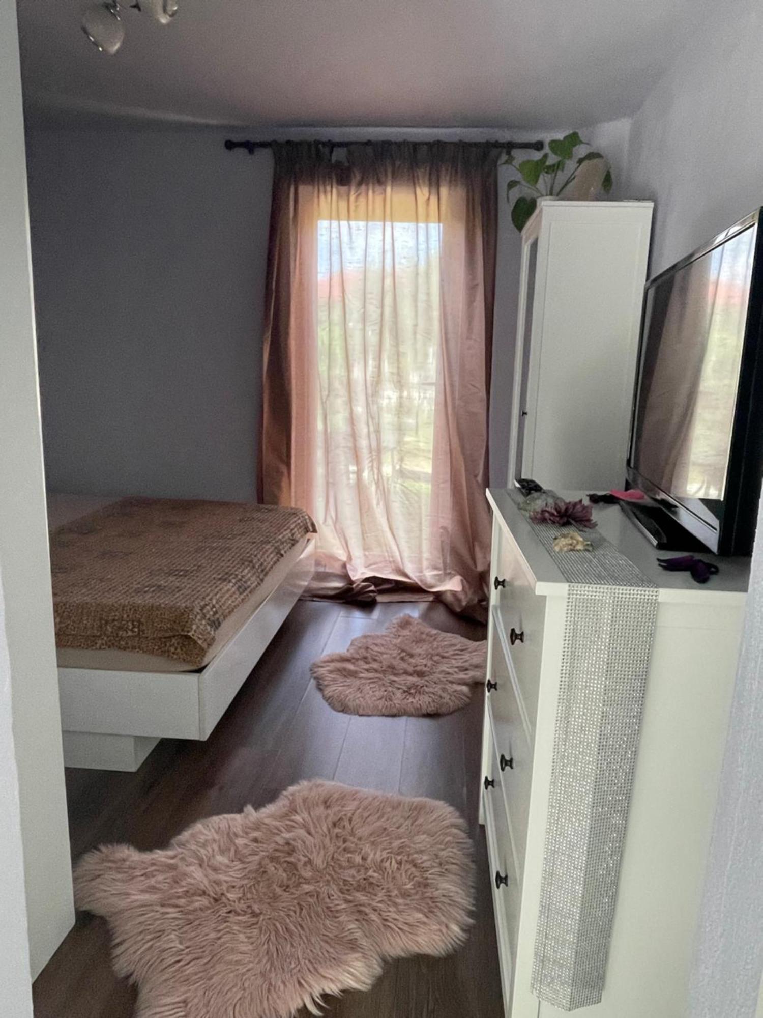 티미쇼아라 Garsoniera La Casa 아파트 외부 사진